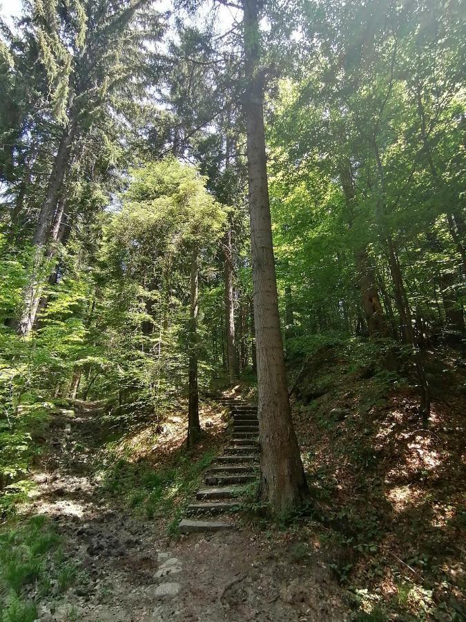 Apartmán Petkovi Аpartments, Borovets Gardens Exteriér fotografie